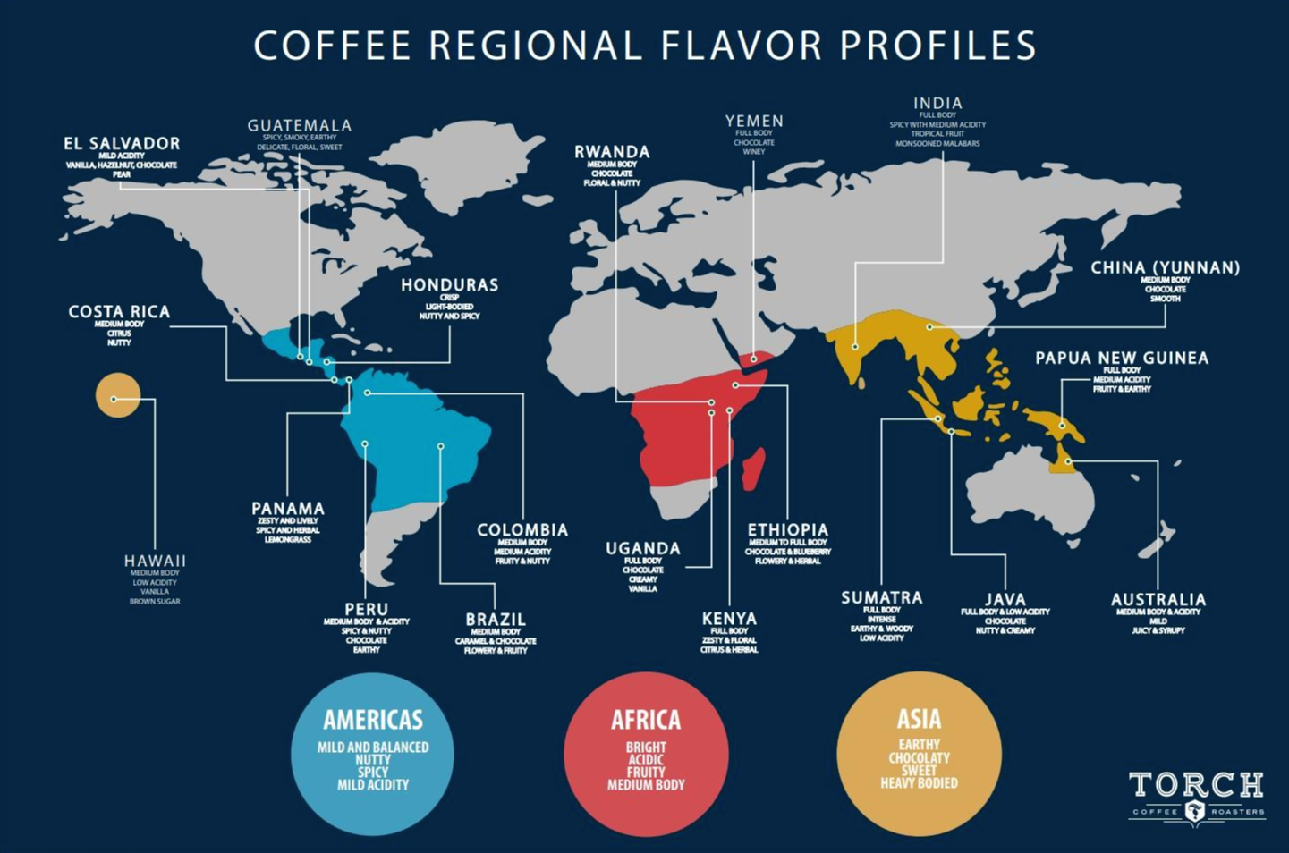Coffee belt world map — equatorial regions where coffee grows