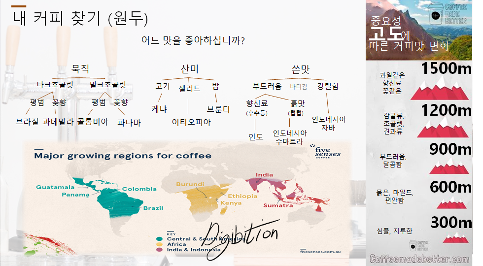Coffee taste preference roadmap — find your style